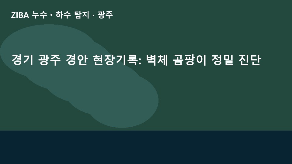 경기 광주 경안 현장기록: 벽체 곰팡이 정밀 진단